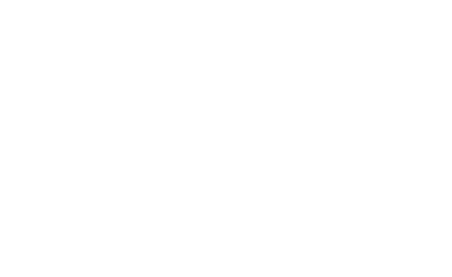 Yellow Belly Marketing (opens in a new tab)